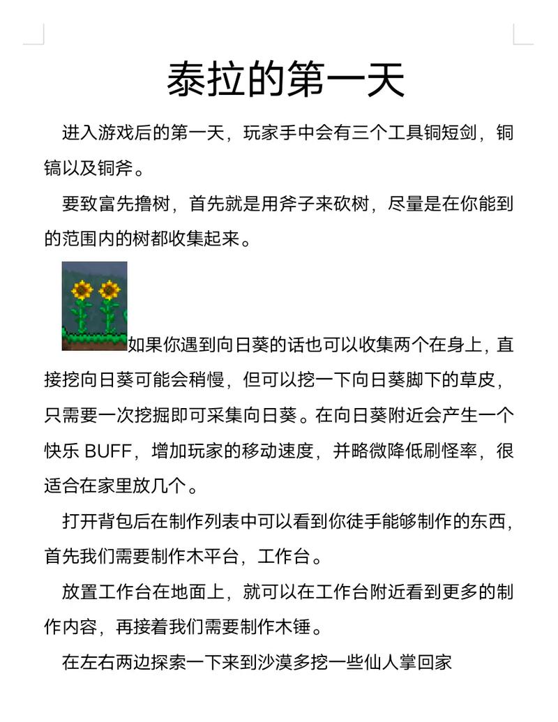 泰拉瑞亚戒指获取攻略及戒指功能解析：实用指南助你轻松掌握游戏秘籍